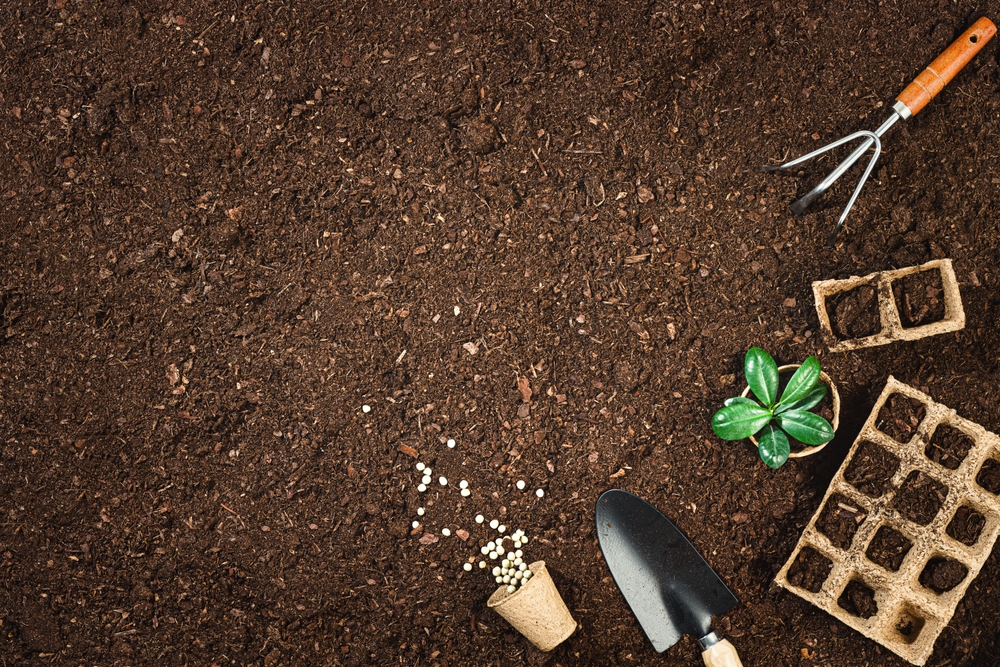 Gartenwerkzeuge und Erde